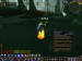 WoWScrnShot_111109_143117.jpg